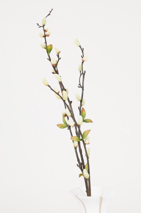 Vackra grenar med mjuka knoppar och gröna blad i en vit vas, perfekt för inredning och som dekoration i hemmet.