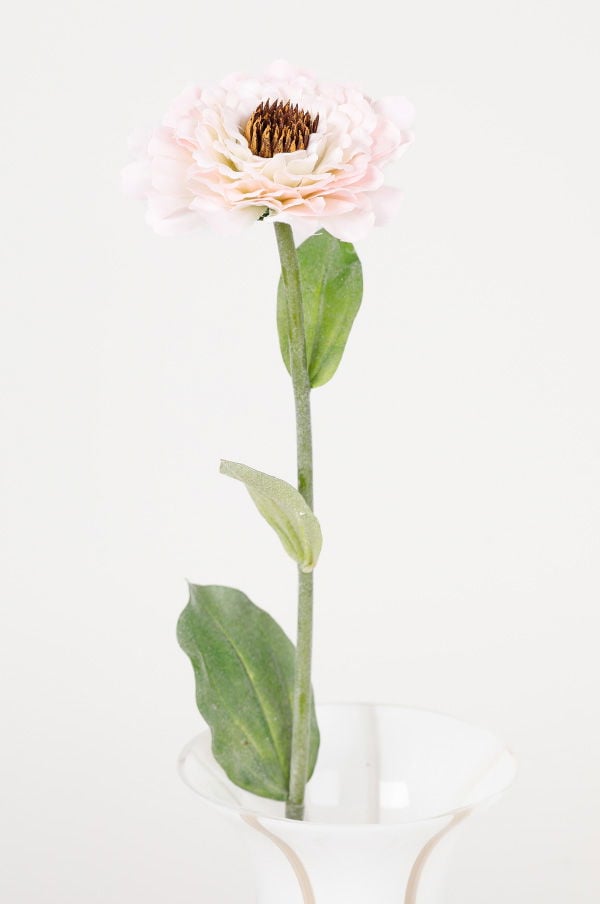 En rosa blomma med en grön stjälk och blad, placerad i en vit vas. Blomman har många kronblad och en central del med frön, vilket ger den ett naturligt och elegant utseende. Perfekt för inredning eller som dekoration.