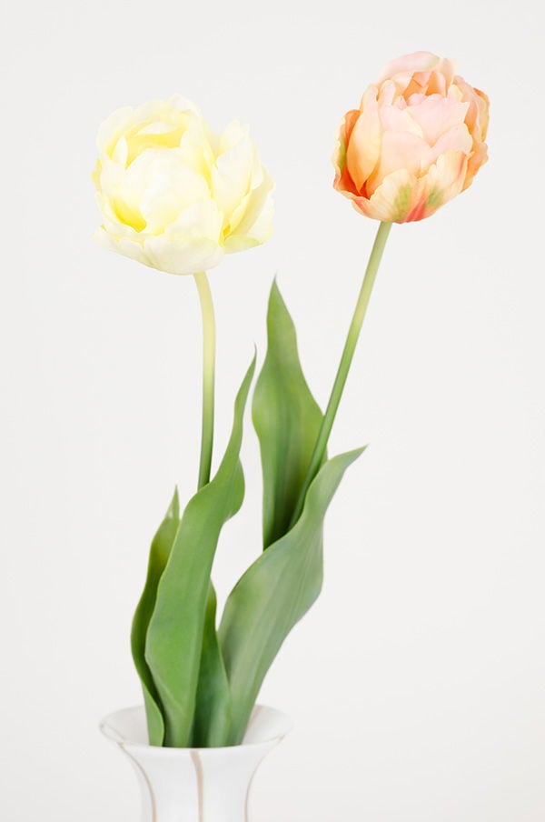 Två tulpaner i en vit vas, en gul och en rosa, med gröna blad i en minimalistisk inredning.