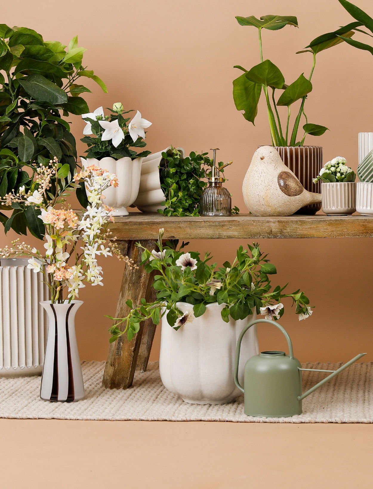 Inredning med krukor och blommor på ett träbord, inklusive en grön vattenkanna, ett fågeldekoration och olika växter i stiliga krukor mot en beige bakgrund.