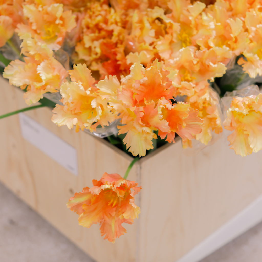En låda med vackra, orange och gula blommor, troligen tulpaner, som är inslagna i plast och står på en ljus träyta.