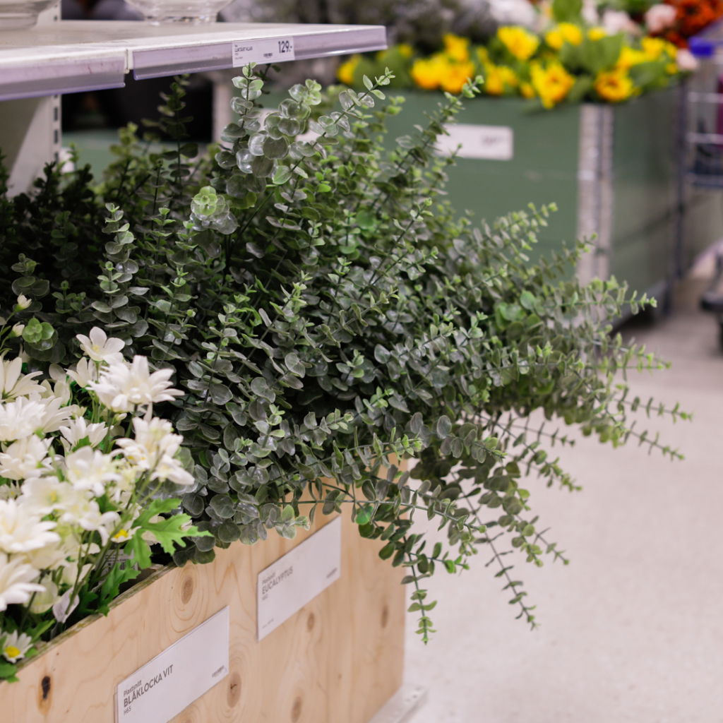 Gröna eukalyptusväxter och vita blommor i en blomsterbutik, placerade i träkorgar med prislappar.
