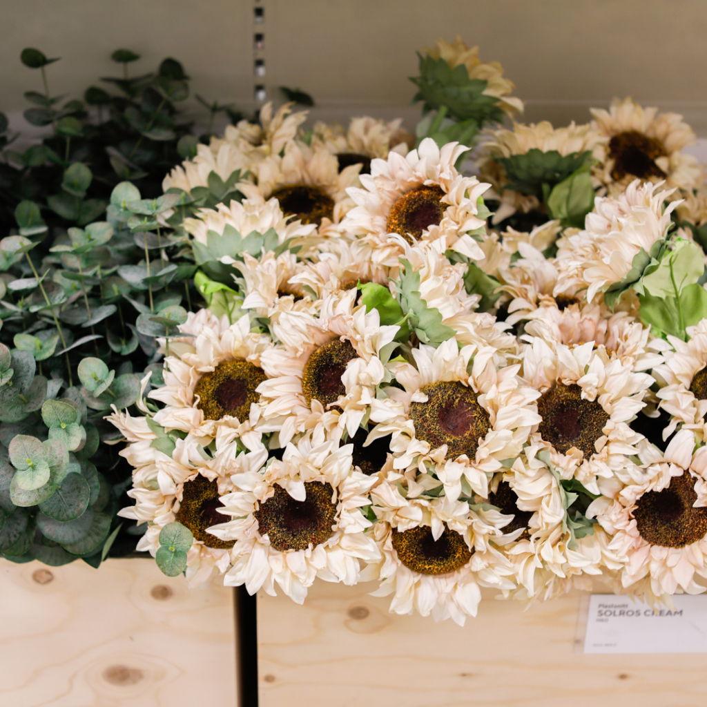 En bukett med konstgjorda solrosor i krämfärger, omgivna av grön eucalyptus, placerade på en hylla i en butik. Perfekt för dekoration och arrangemang.